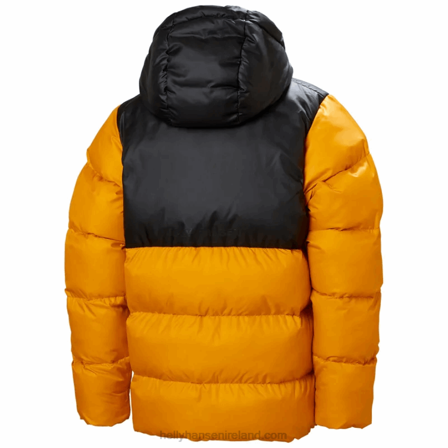 MALACHITE 8V222F2760 Helly-Hansen JUNIORS' VISION PUFFY JACKET