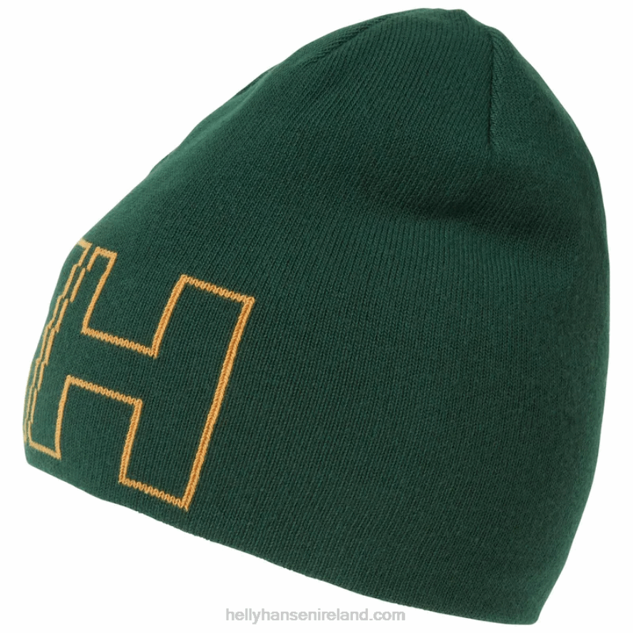DEEP FJORD 8V222F1223 Helly-Hansen UNISEX OUTLINE BEANIE HAT