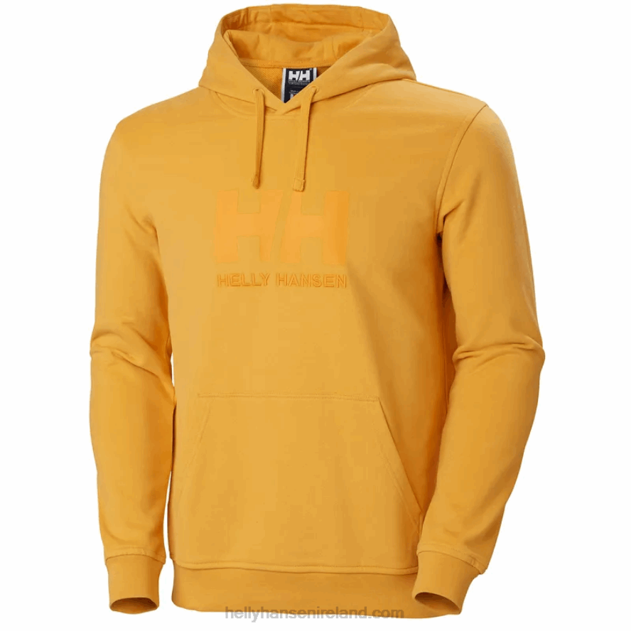BLACK 8V222F765 Helly-Hansen MEN'S HH LOGO HOODIE