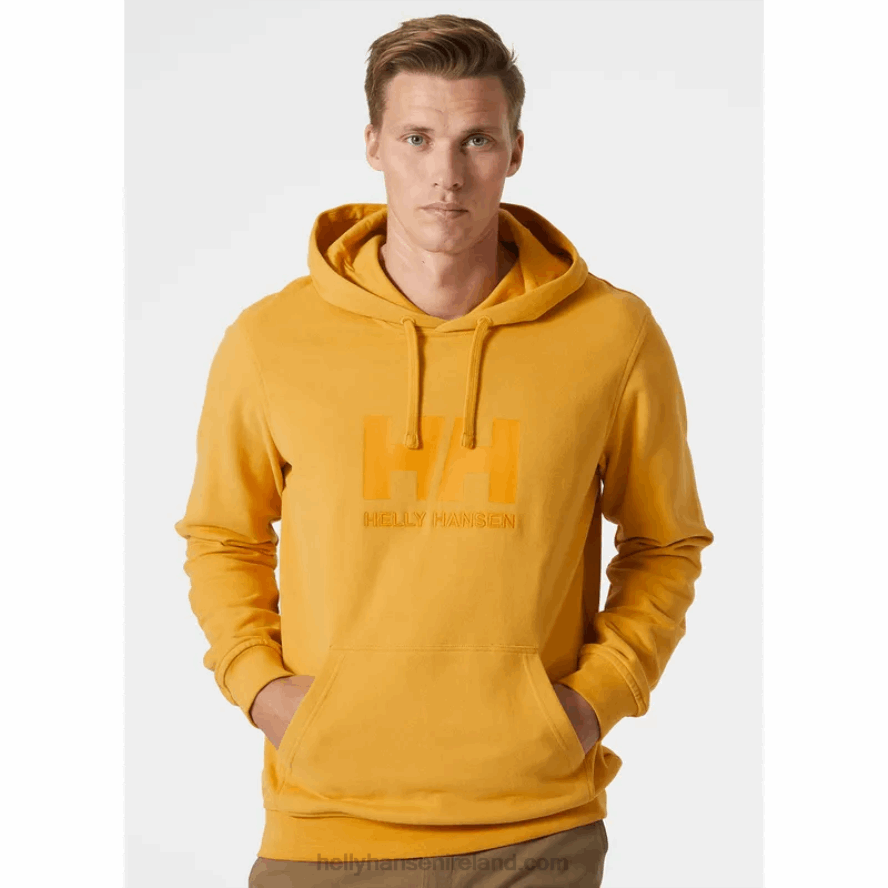 BLACK 8V222F765 Helly-Hansen MEN'S HH LOGO HOODIE