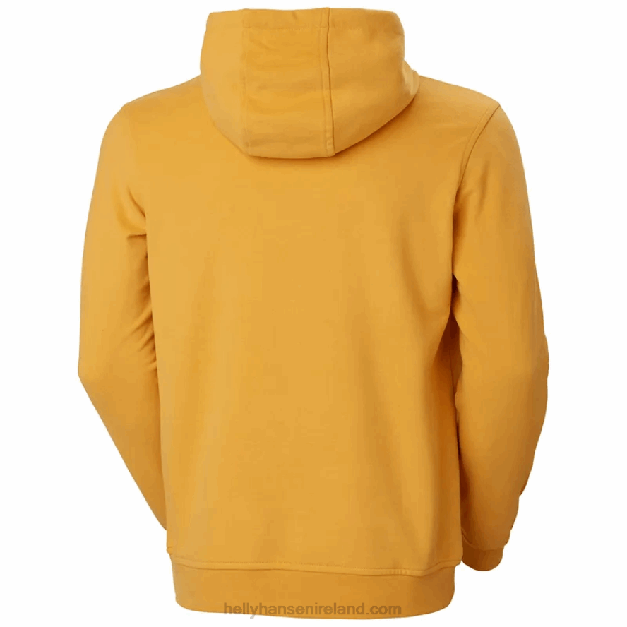 BLACK 8V222F765 Helly-Hansen MEN'S HH LOGO HOODIE