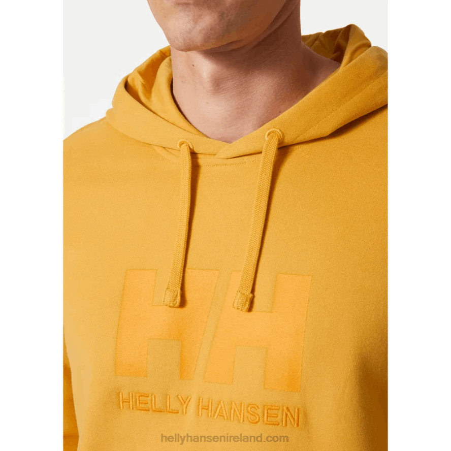 BLACK 8V222F765 Helly-Hansen MEN'S HH LOGO HOODIE