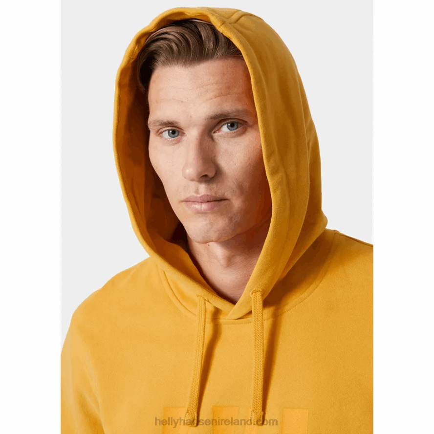 BLACK 8V222F765 Helly-Hansen MEN'S HH LOGO HOODIE