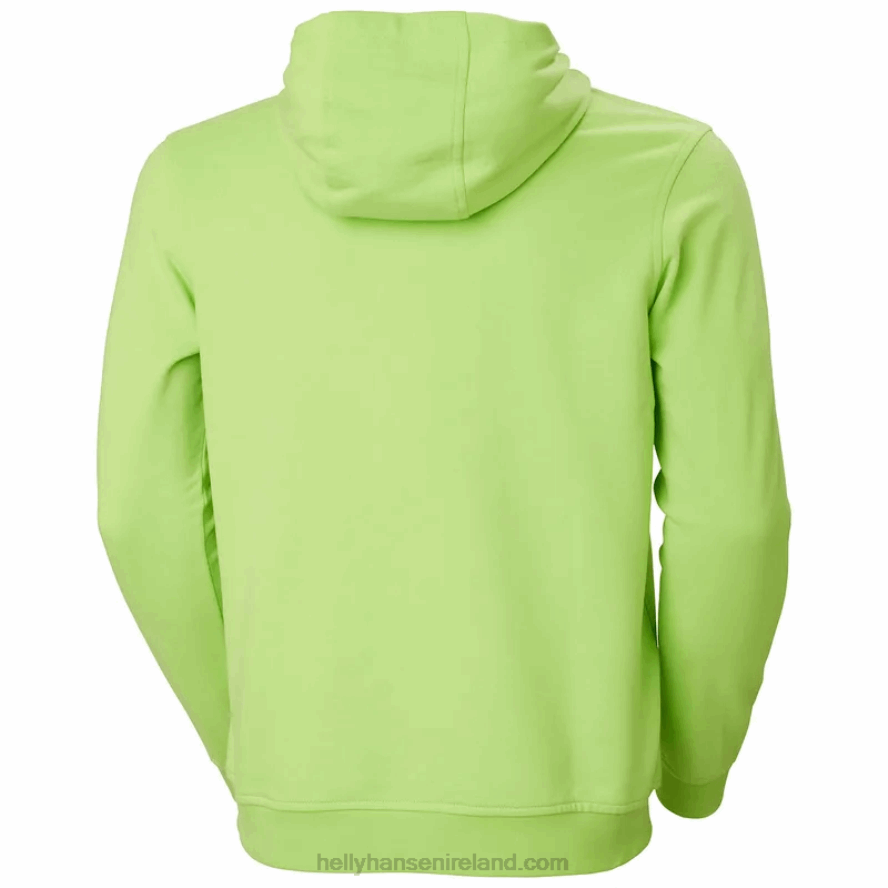 MEAD 8V222F766 Helly-Hansen MEN'S HH LOGO HOODIE