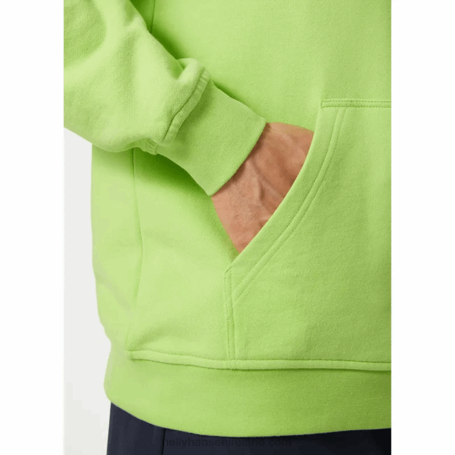 MEAD 8V222F766 Helly-Hansen MEN'S HH LOGO HOODIE