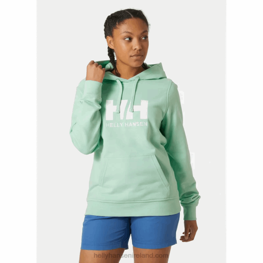 TERRACOTTA 8V222F1890 Helly-Hansen WOMEN'S HH LOGO HOODIE