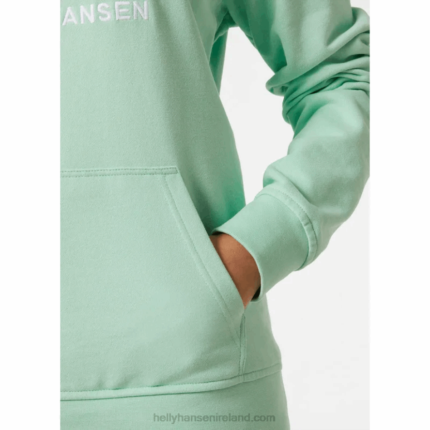 TERRACOTTA 8V222F1890 Helly-Hansen WOMEN'S HH LOGO HOODIE